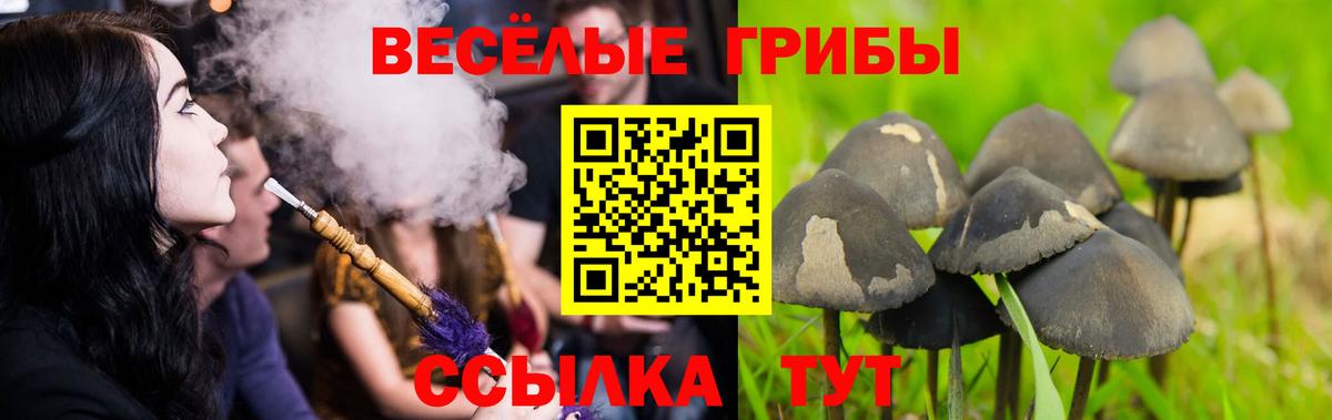 Южно-Сахалинск  Псилоцибиновые грибы прущие грибы  Вход с VPN  Галлюциногенные грибы ЛСД 